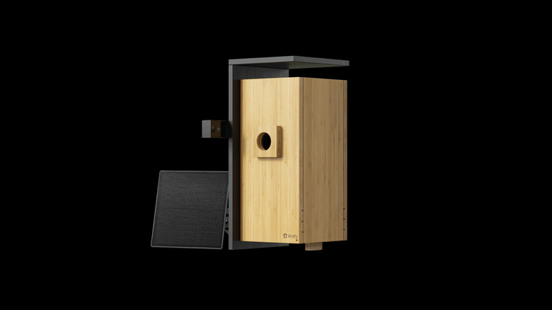 A sleek wooden Birdfy Nest Duo smart birdhouse featuring built-in camera sensors.