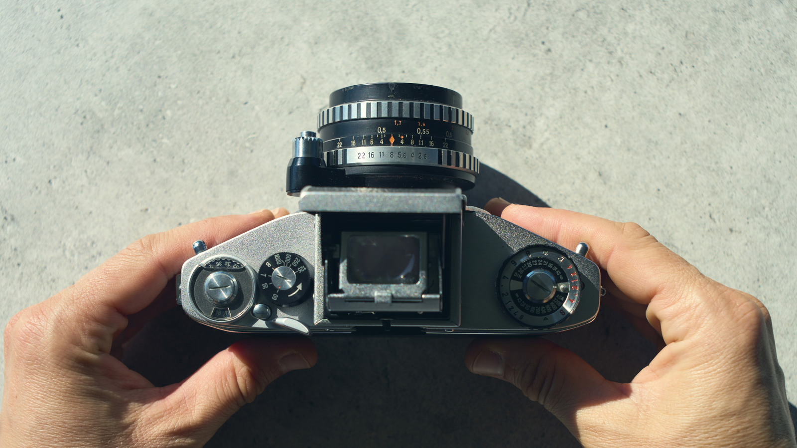 5 Best Affordable Fun Cameras for Beginners in 2026