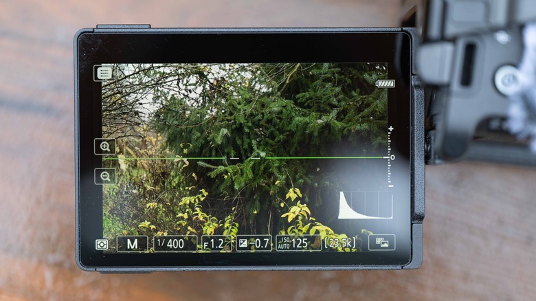 The articulating rear display of the Nikon Zr showing a clear image of trees.
