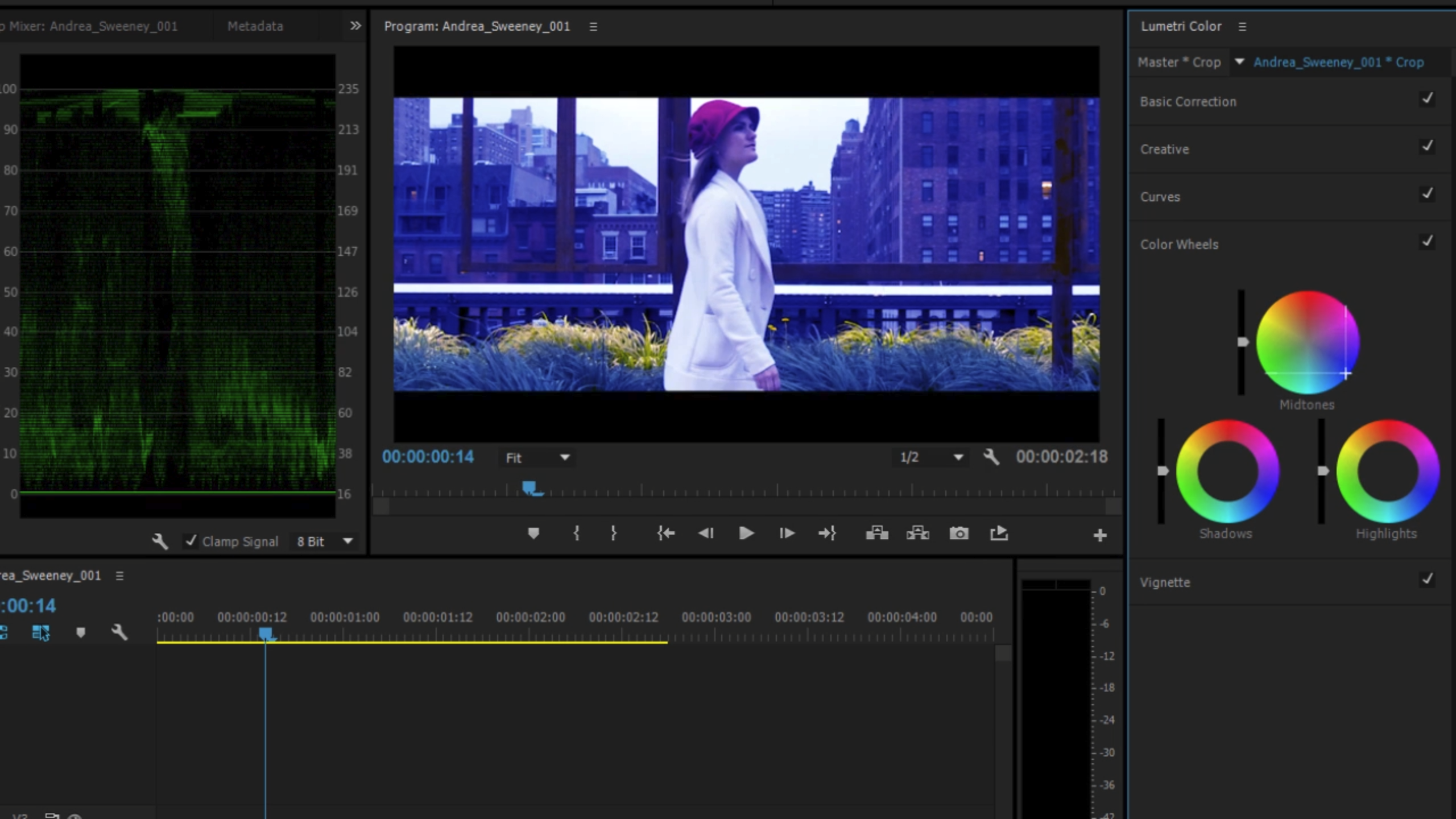 Close-up view of color wheels and Lumetri Color controls inside Adobe Premiere.