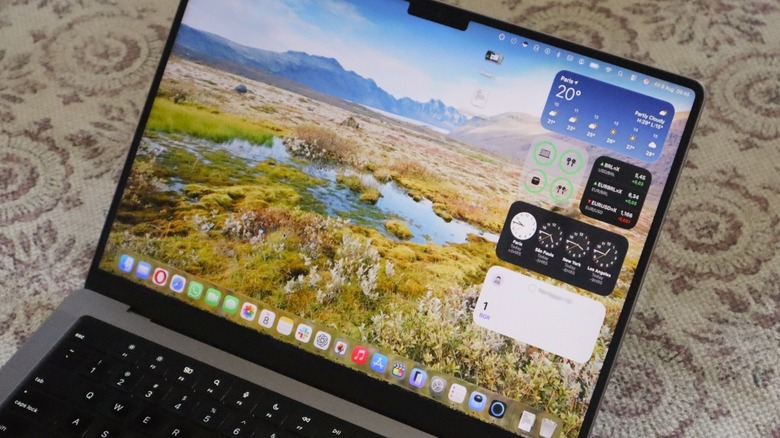 The Portal app displaying an animated nature background on a MacBook Pro.