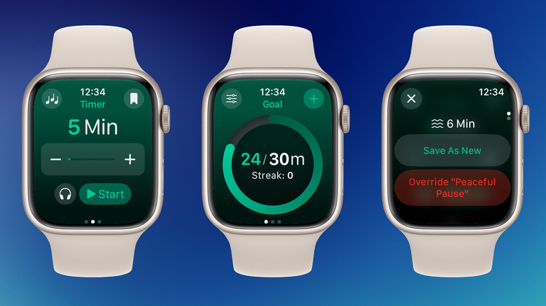 Zenitizer app on Apple Watch showing a clean timer interface for meditation and focus sessions.