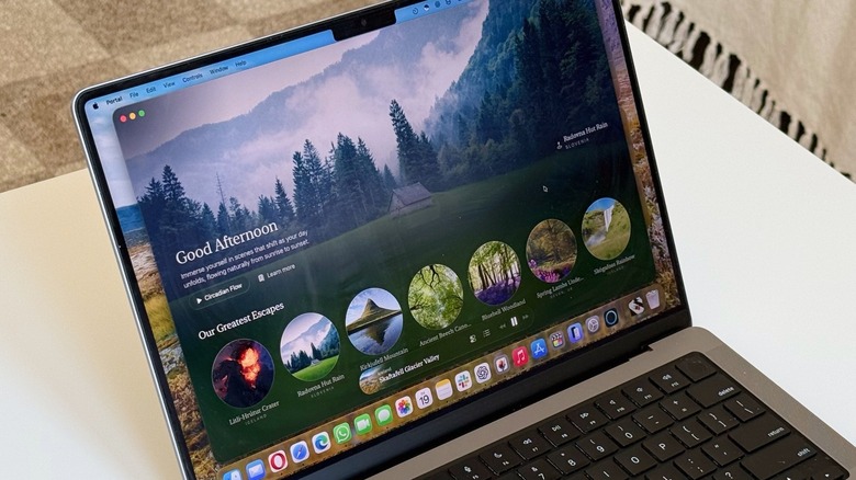 A MacBook Pro running the Portal app displaying a serene forest environment.