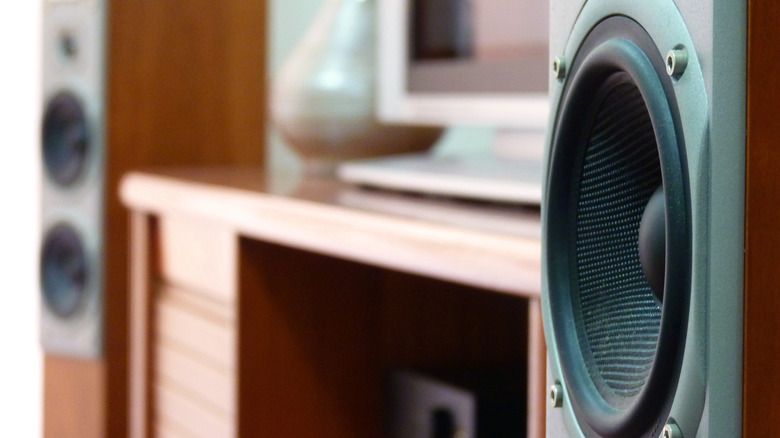 Two wooden tower speakers flanking a television in a living room setup.