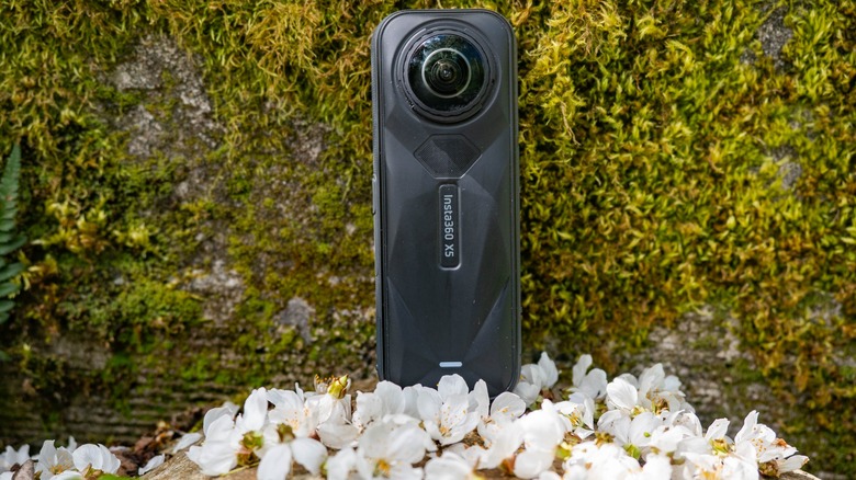 The Insta360 X5 resting among white flower blossoms against a mossy wall.