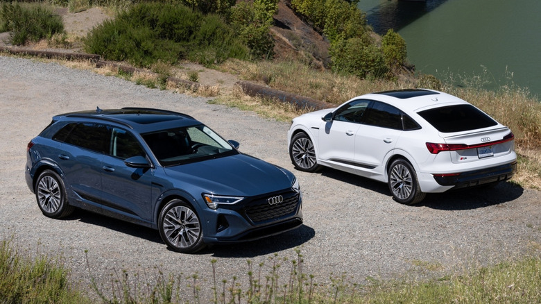 Two Audi Q8 E-Tron models parked in a scenic outdoor location.