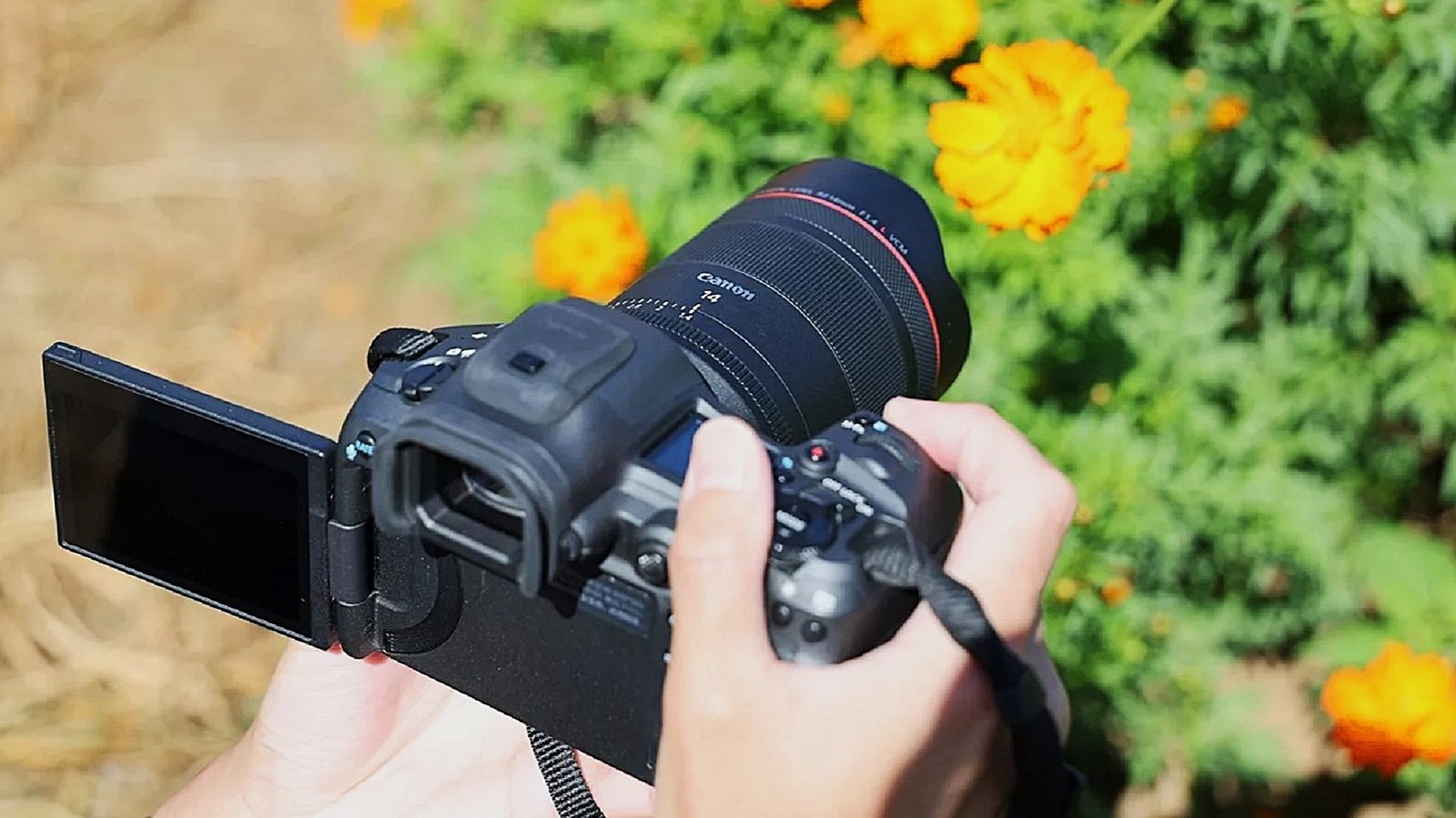 Canon RF 14mm f/1.4L VCM: Ultra-Wide Hybrid Lens