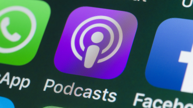 The Apple Podcasts app icon displayed clearly on an iPhone home screen.