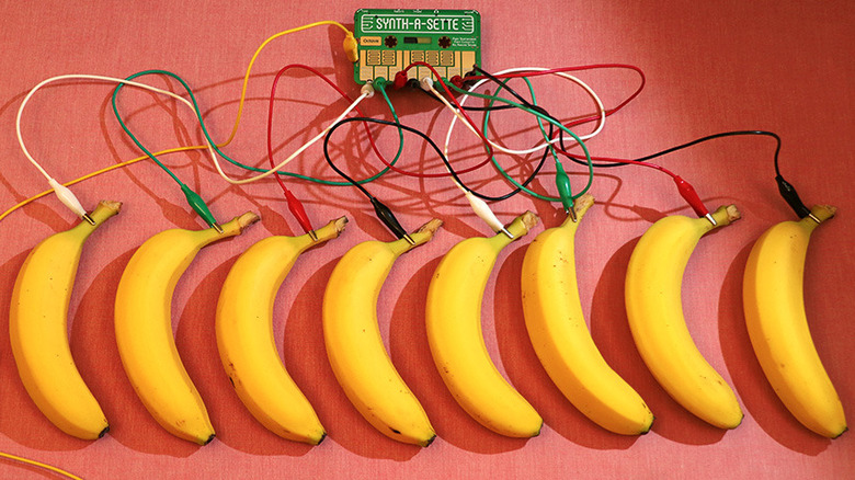 A circuit board with cables connected to a series of bananas as part of a DIY synth setup.