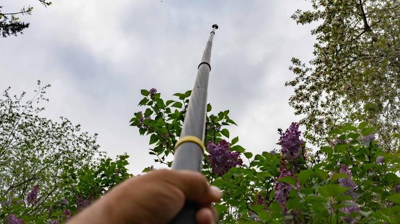 A 10 foot long selfie stick with the Insta360 X5 mounted at the very top.