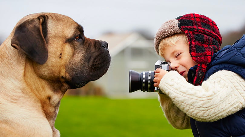 7 Best Toy Cameras for Every Age: 2026 Reviews